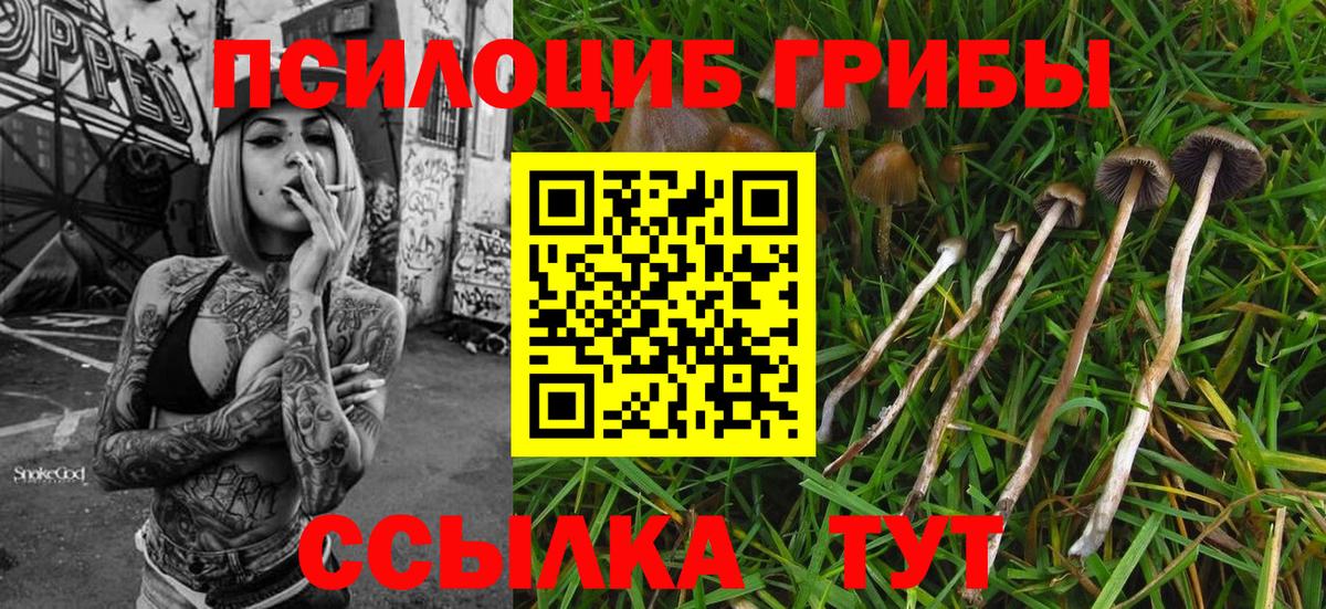 Галлюциногенные грибы мухоморы Нововоронеж