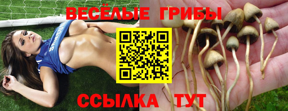 Псилоцибиновые грибы прущие грибы  Вход с VPN  Нововоронеж 